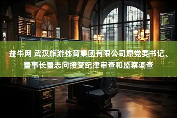 益牛网 武汉旅游体育集团有限公司原党委书记、董事长董志向接受纪律审查和监察调查