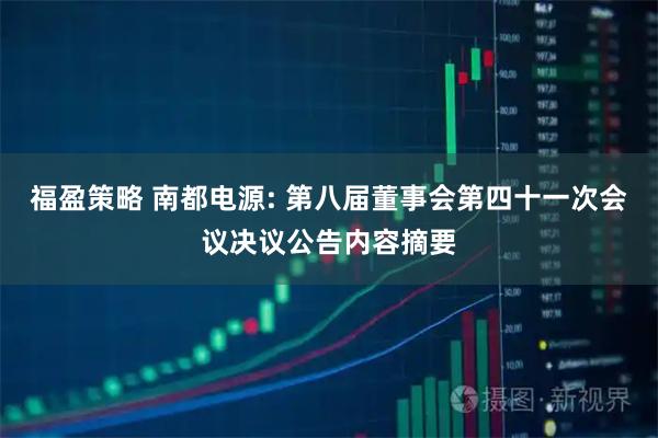 福盈策略 南都电源: 第八届董事会第四十一次会议决议公告内容摘要