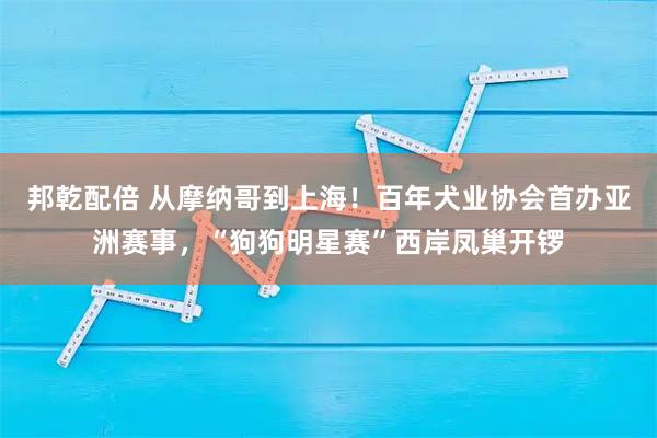 邦乾配倍 从摩纳哥到上海!百年犬业协会首办亚洲赛事,“狗狗明星赛”西岸凤巢开锣