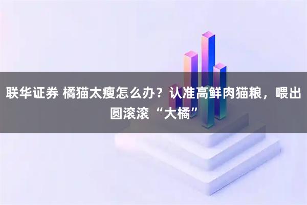 联华证券 橘猫太瘦怎么办?认准高鲜肉猫粮,喂出圆滚滚 “大橘”