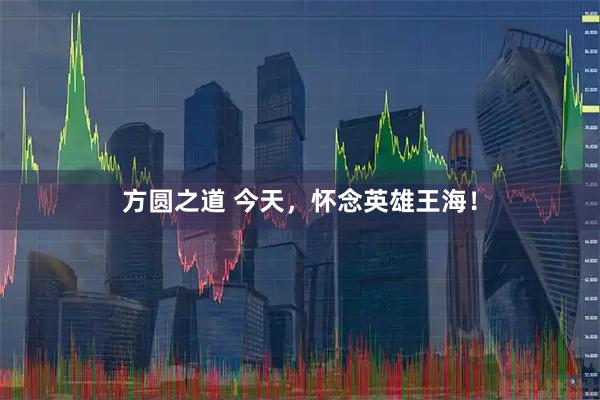 方圆之道 今天，怀念英雄王海！