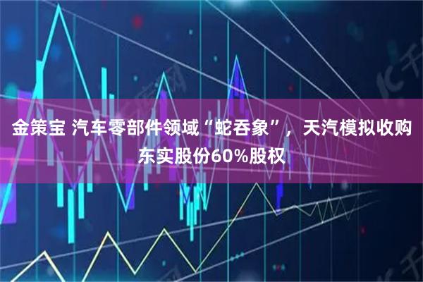 金策宝 汽车零部件领域“蛇吞象”,天汽模拟收购东实股份60%股权
