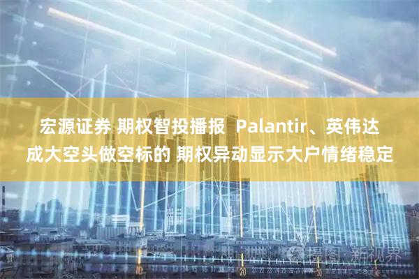 宏源证券 期权智投播报  Palantir、英伟达成大空头做空标的 期权异动显示大户情绪稳定